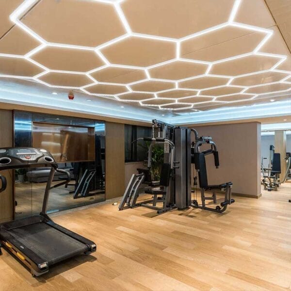 lights for garage gym