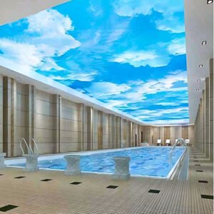Soft Film Ceiling Light Box