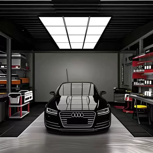 best car detailing light