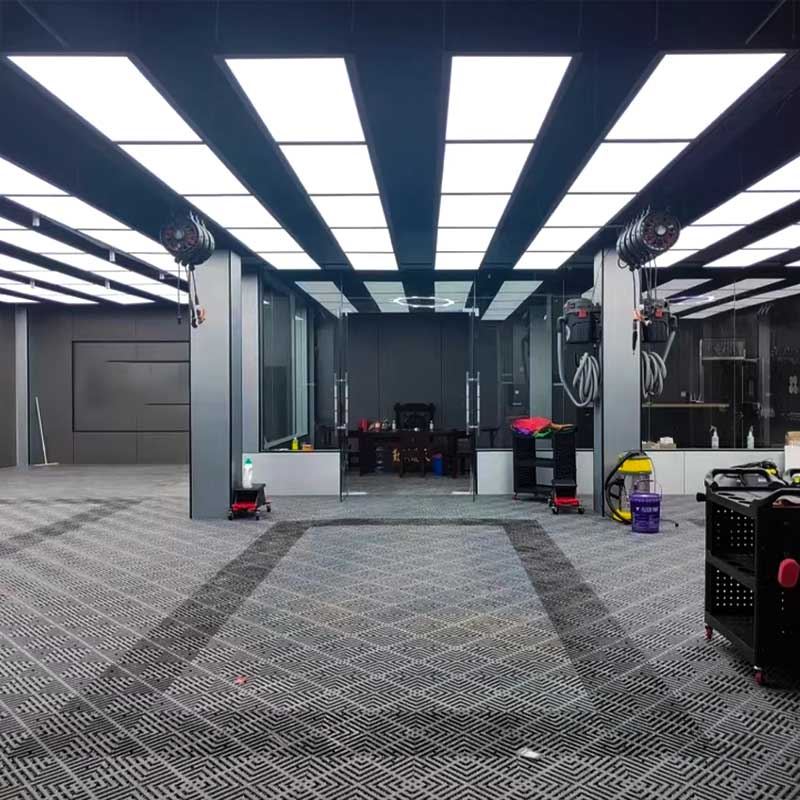 car paint detailing Light