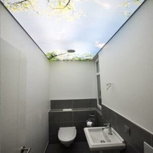 light box custom ceiling