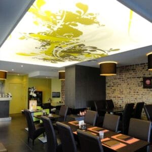 printed stretch ceiling