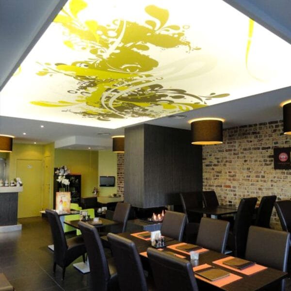 printed stretch ceiling