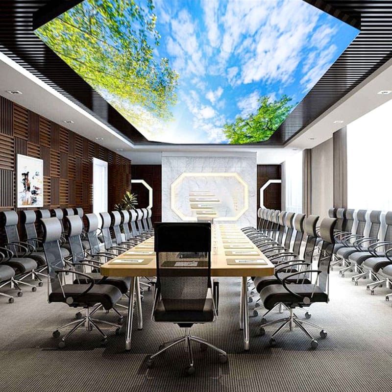 pvc soft film light ceiling