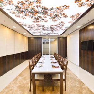 stretch ceiling print