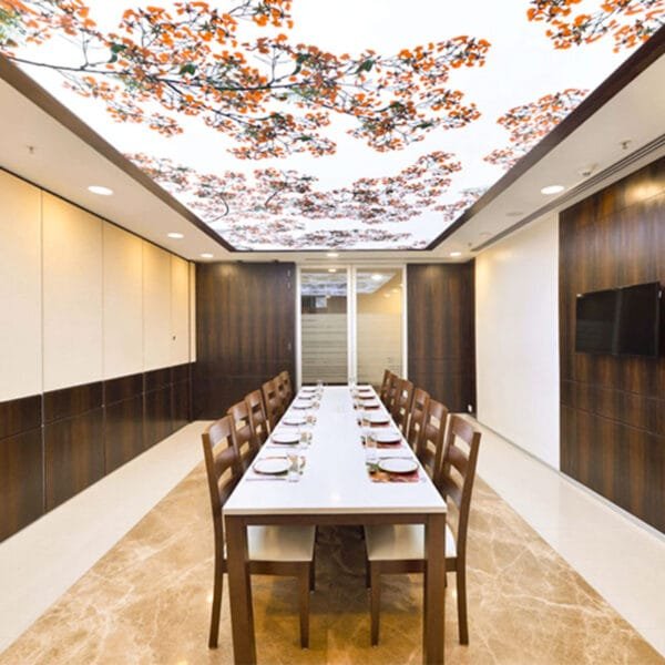 stretch ceiling print